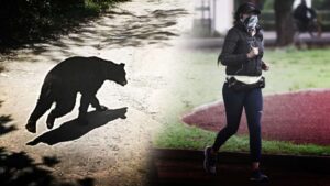 "No corras, no corras": Mujer ríe de nervios al encontrarse con oso en el cerro Chipinque, en Nuevo León