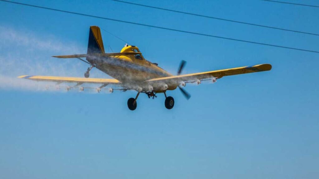 Se desploma aeronave en playa de Oaxaca; hay 1 muerto