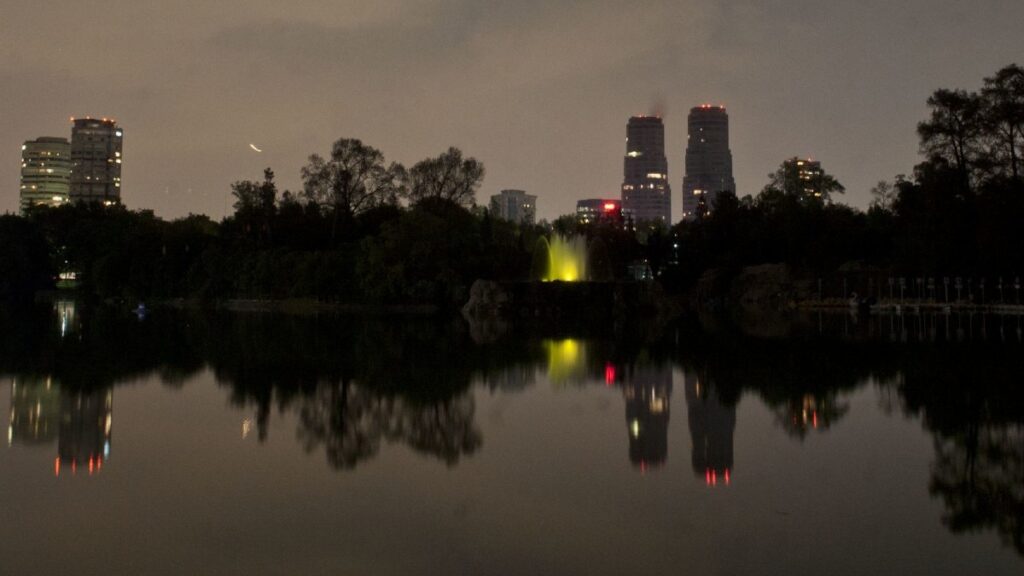 Bosque de Chapultepec: jóvenes suben a los cisnes de madrugada; video