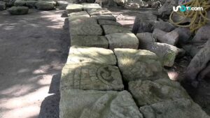 Descubren 12 escudos de guerra en "Chichén viejo"