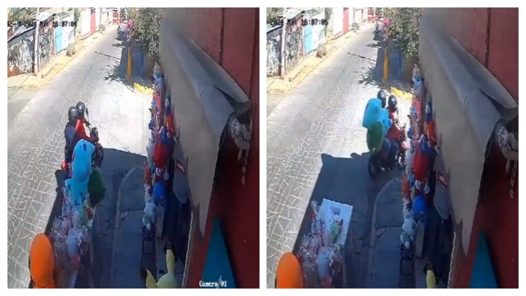 roban peluche de pokemon el 14 de febrero