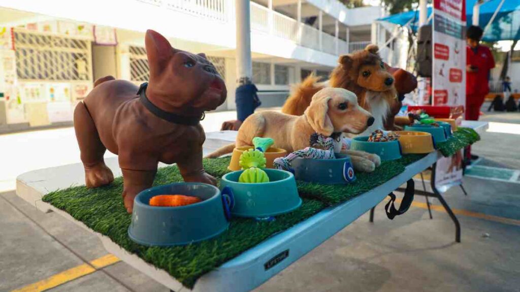 Tlalnepantla da cursos para enseña a niños a cuidar a sus mascotas