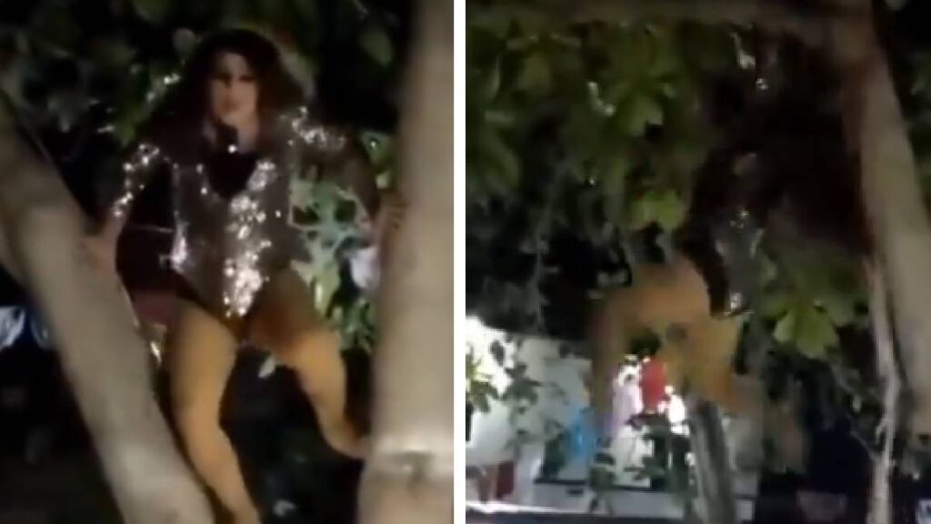 imitadora-de-gloria-trevi-se-cae-de-un-arbol-en-pleno-show
