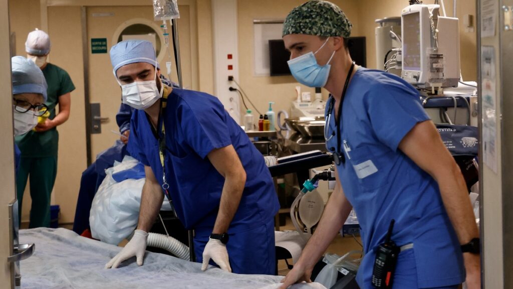 Trasplante Rinon Cerdo Humano