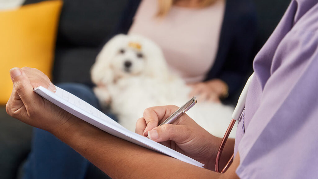 RUAC CDMX: Beneficios de registrar a mi mascota