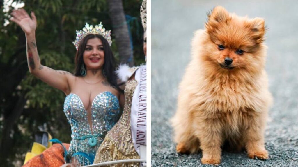 Karely Ruiz perrito polémica