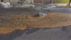 ¡Alerta en Edomex! Carne podrida brota de coladera en Neza; vecinos reportan olor insoportable