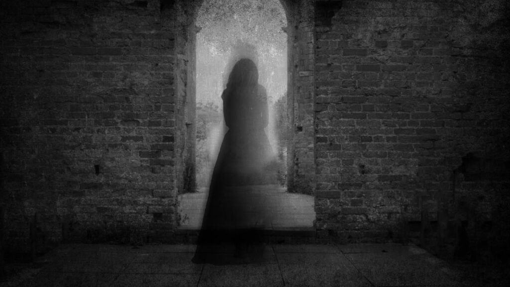 PRESENCIA ZINACANTEPEC