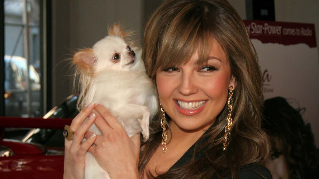 Thalia y sus Perros