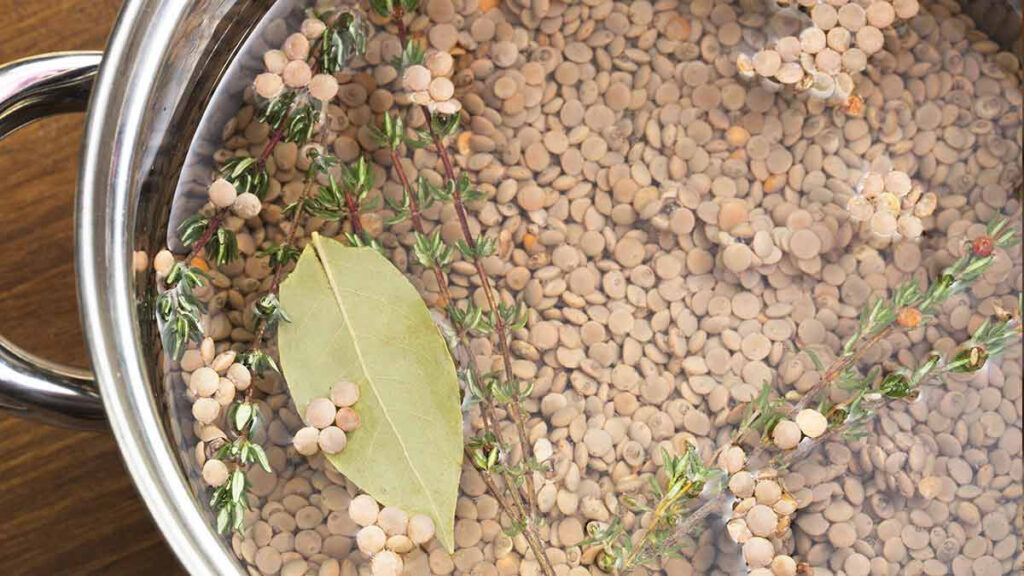 Agua de lentejas como fertilizante, te decimos cómo utilizarlo