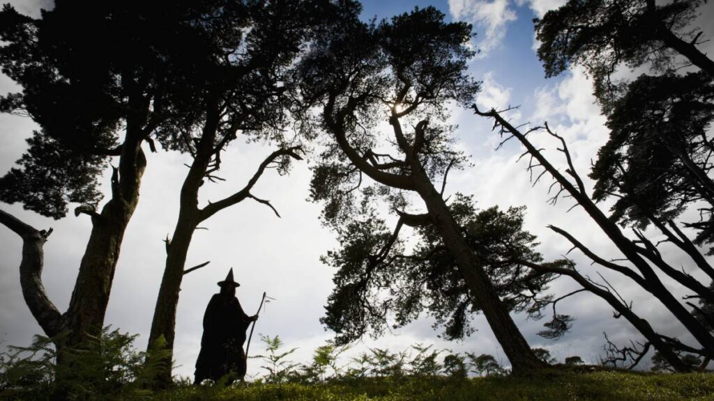 BRUJAS BOLAS DE FUEGO