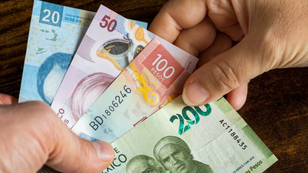 Esto es todo lo que tienes que saber sobre los donativos y el SAT