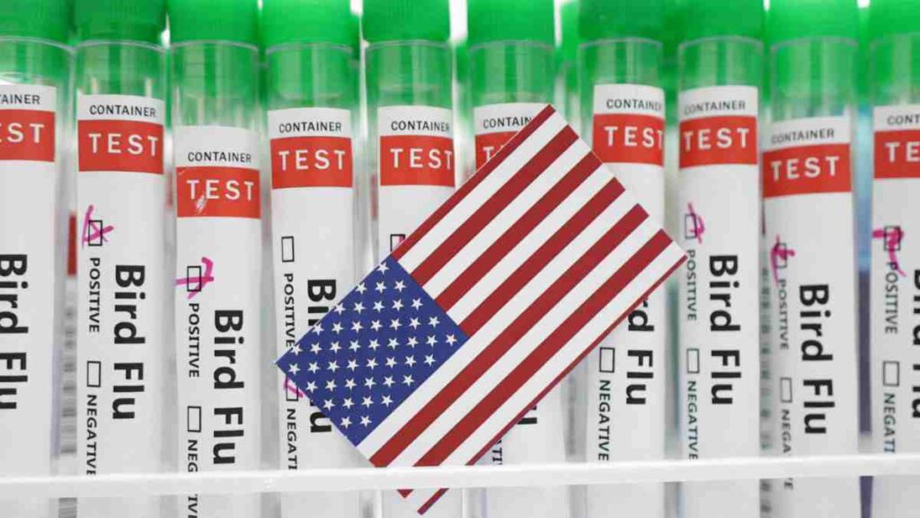 Gripe aviar altamente patógena detectada en aves en la ciudad de Nueva York