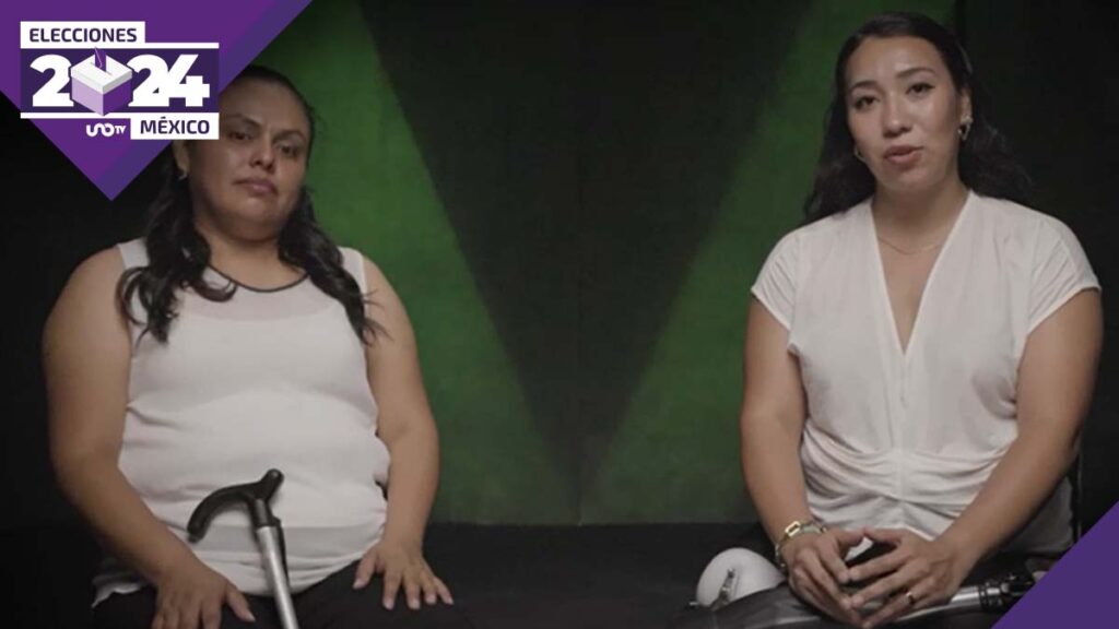 Partido Verde discapacidad