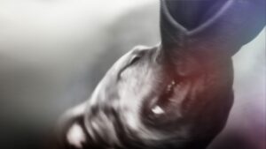 Pitbull mata a hombre en Indios Verdes; SSC resguarda al perro