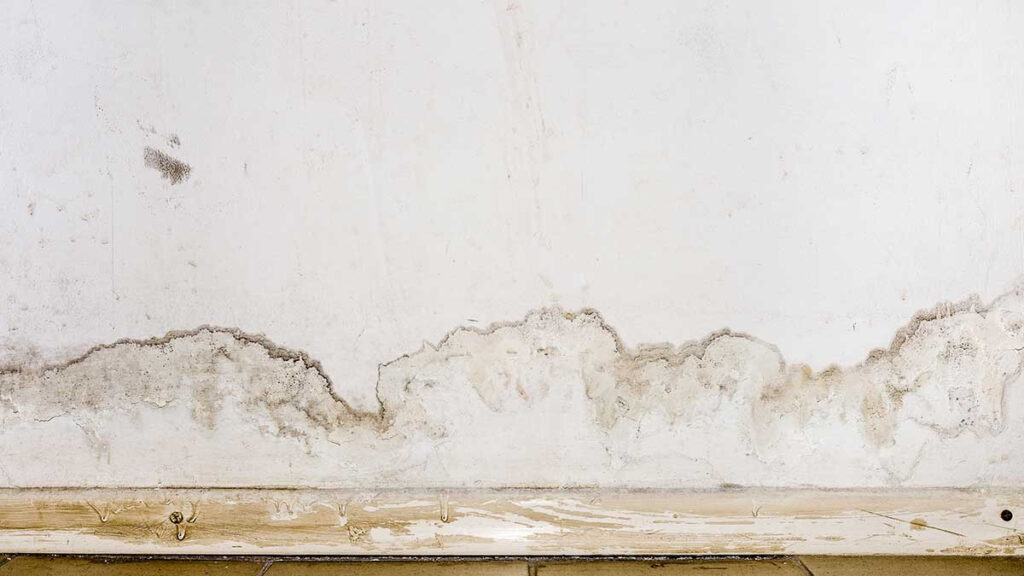 como restaurar una pared carcomida con humedad