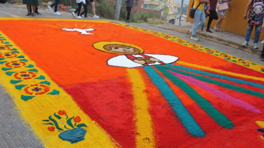 TAPETES ACAXOCHITLAN