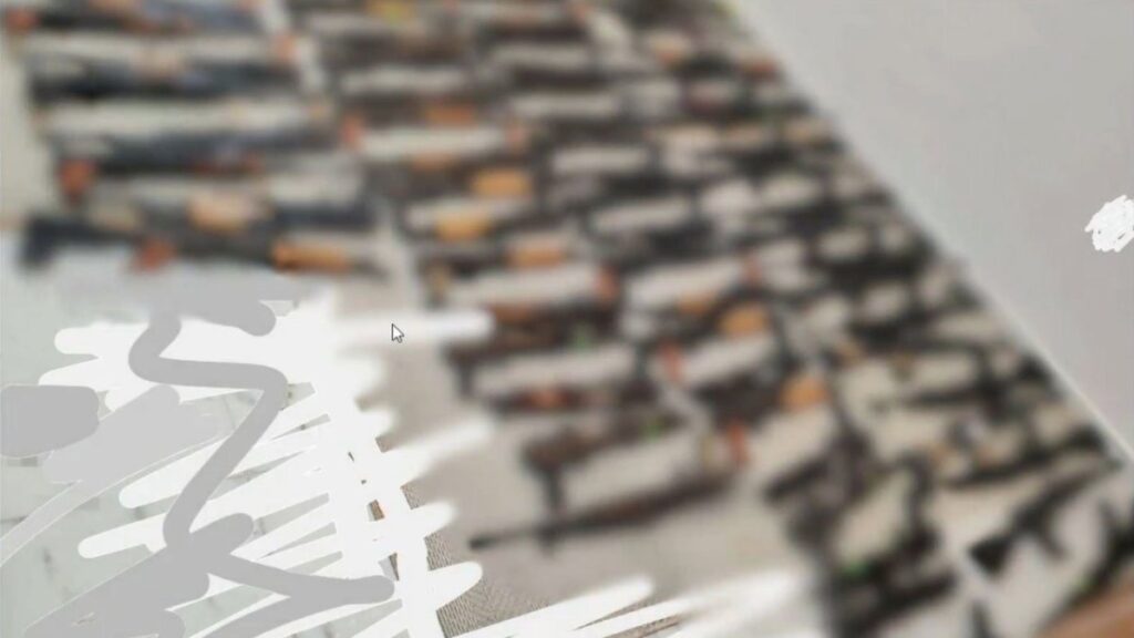 Aseguran 200 Armas En Veracruz