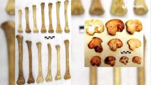 Revelan entierro masivo con más de 100 niños mayas en Chichén Itzá