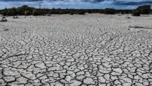 Por falta de agua, abandonan comunidades de Durango; esto se sabe
