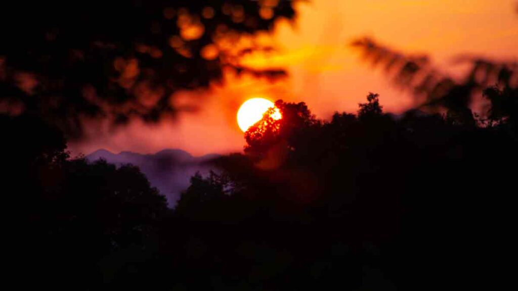 Solsticio de verano 2025