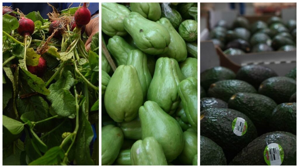 ¡Por las nubes! Estos 4 productos de la canasta básica, cilantro, chayote y aguacate, cumplen 3 semanas con precios elevados