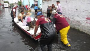 Imágenes conmovedoras: rescatan a perros y gatos de aguas negras en Chalco
