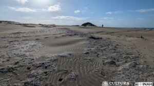 Tesoros ocultos: descubren montículos prehispánicos de conchas en la Isla Macapule