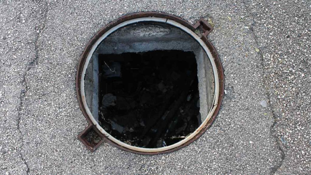 No vayas a pisar: brotan heces fecales de coladeras en Zoo de Acapulco