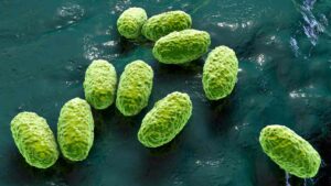 Defunciones y casos de Tosferina en México casi se triplican en 2025: estados más afectados