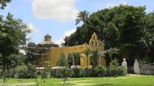 Cuxtal: el pulmón verde más grande de Mérida