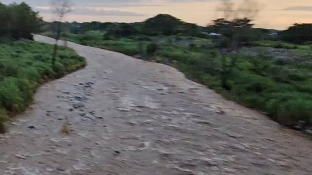 Localizan a padre de familia desaparecido en Talpa de Allende