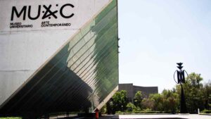 El MUAC retira obras de Ana Gallardo y pide disculpas a “las personas agraviadas”