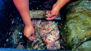 Barbacoa y pulque en el Festival del Borrego 2026 en Guanajuato: fechas, horario, lugar y más