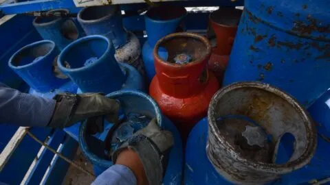 ¿Vas a comprar gas LP? Estos son los precios del 11 al 17 de octubre de 2026