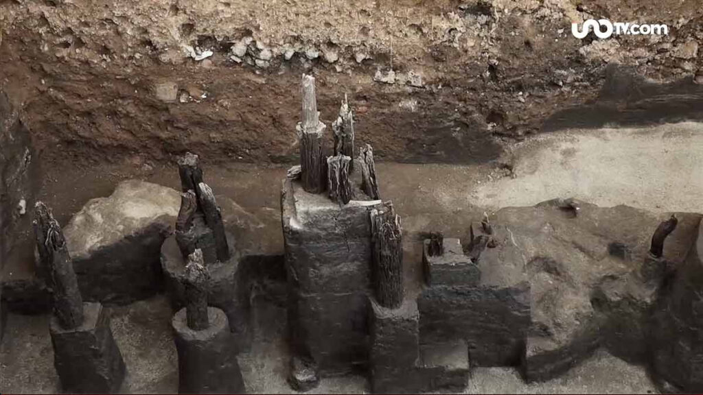 Muelle descubierto en Avenida Chapultepec