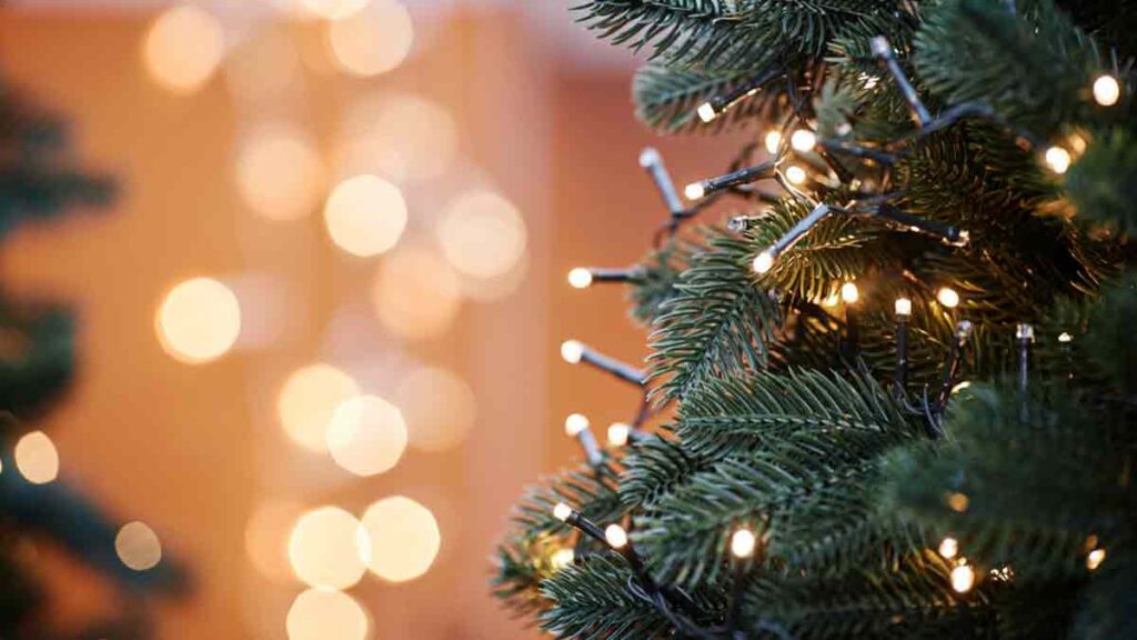 La CFE da recomendaciones para evitar accidentes navideños.