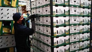 Si Donald Trump impone aranceles a México, ¿ninguna empresa se va a ir del país?