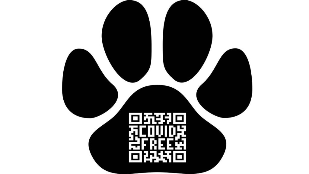 Crean código QR para mascotas en Nuevo León, por si se extravían