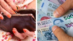 Inapam otorga descuentos de hasta 100 % en 2026: revisa dónde y qué necesitas