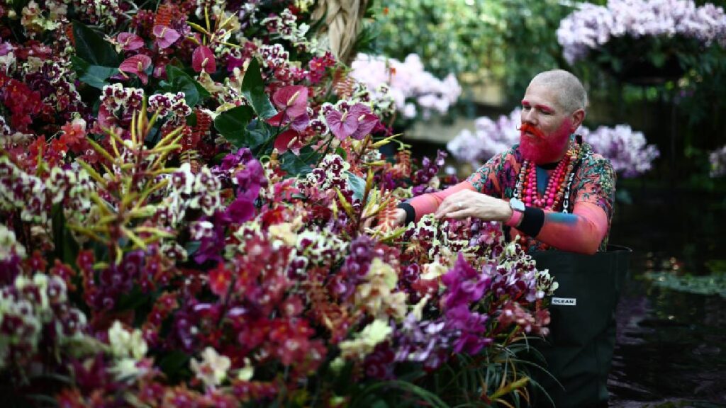 festival anual orquideas londres