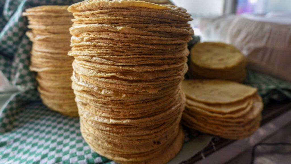 Ve dónde se instalarán las tortillerías comunitarias en la CDMX.