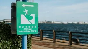 Tsunami: qué es, cómo se clasifica y por qué causa tanta destrucción