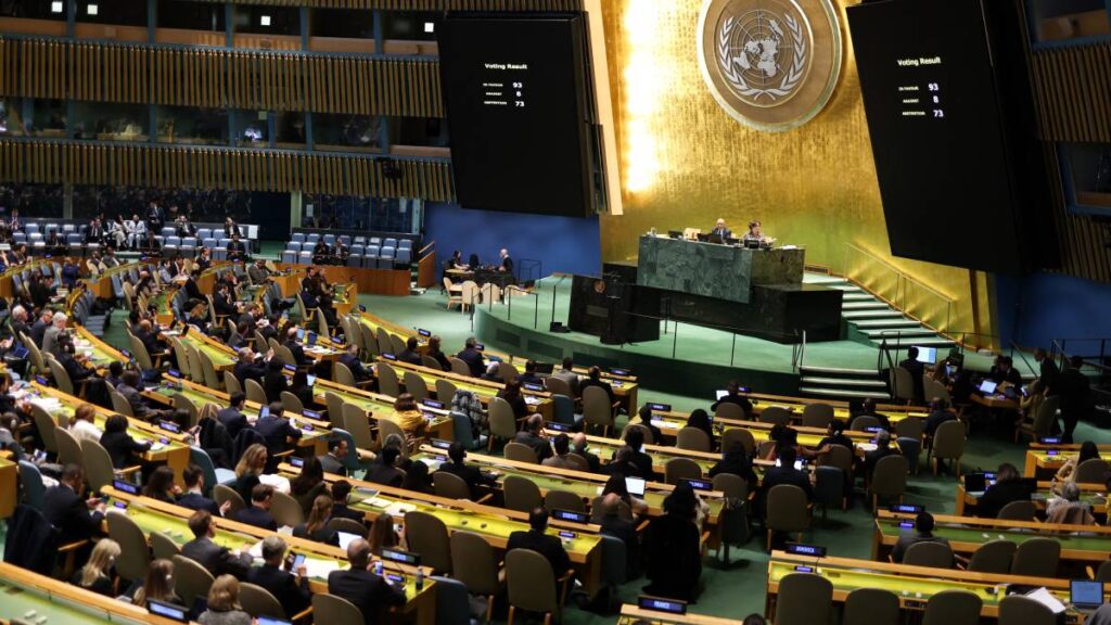 Asamblea General de la ONU