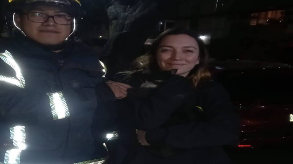 Bomberos rescatan a gatito de Regina Blandón: foto