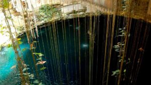 Cenotes petfriendly en Yucatán: opciones para las mascotas