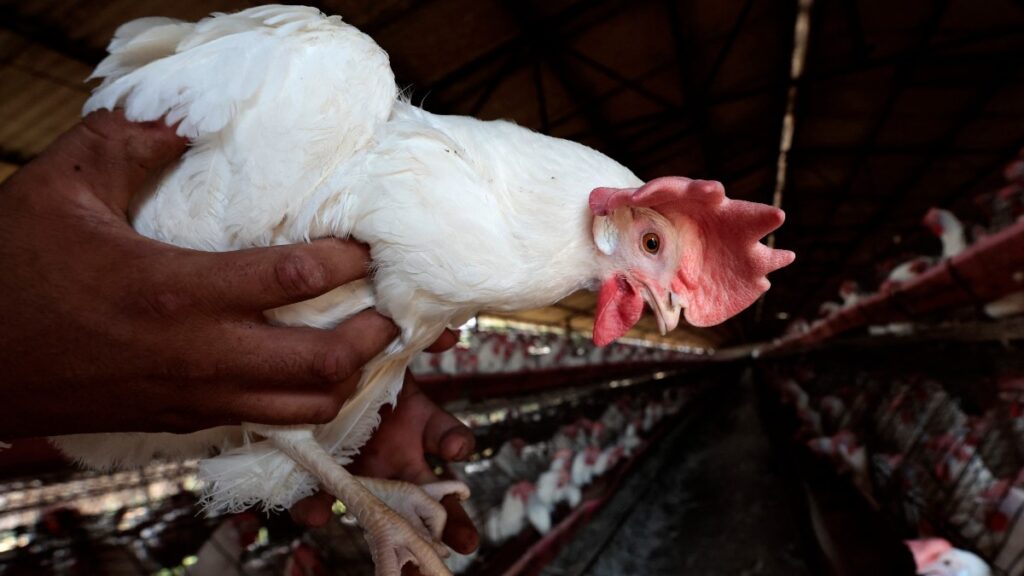 El departamento de Agricultura y Mercados del estado de Nueva York ordenó de cierre temporal de todos sus mercados.