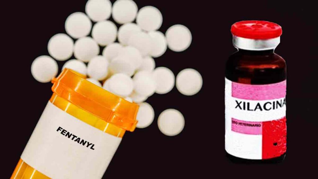 Fentanilo Con