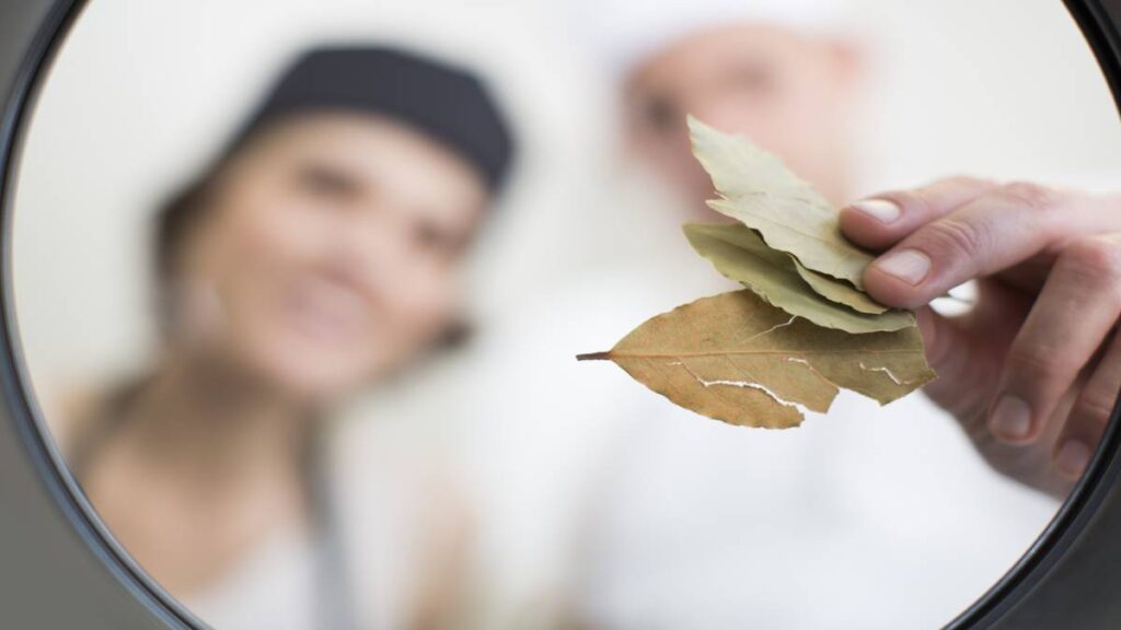 Este es el motivo por el que cada vez más gente mete hojas de laurel en la lavadora