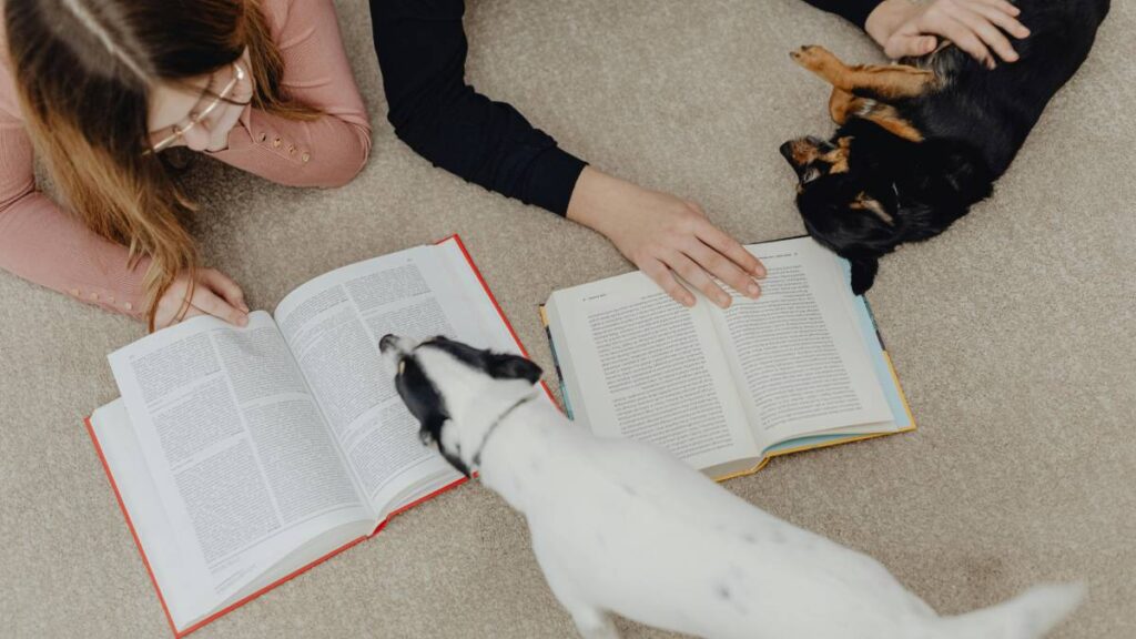 Habitantes de China están mandando a sus mascotas a la escuela